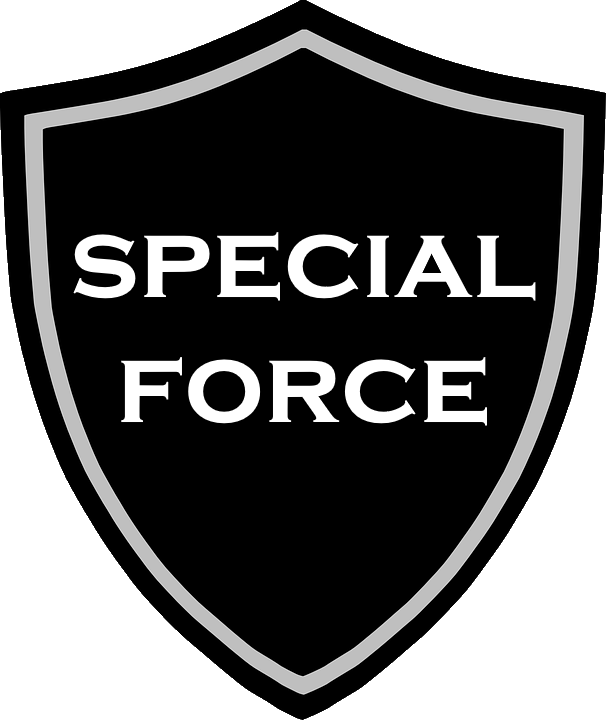Special Moving Task Force Logo