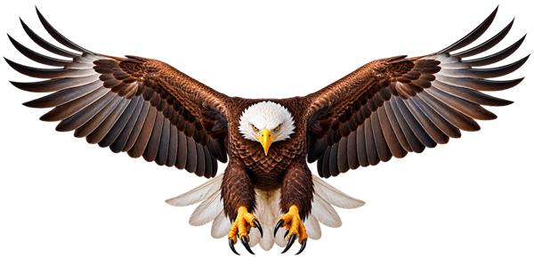 MoverzFax Eagle